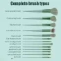 Professional FIX+ Makeup Brushes Green Colour Set of 13PCS with Beauty Blender ( default, OS )